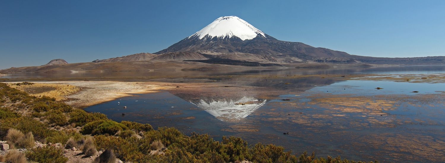 Excursión Parque Nacional Lauca