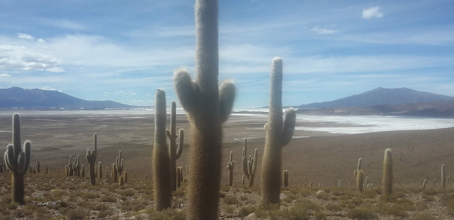 Do coração de Putre - Chile